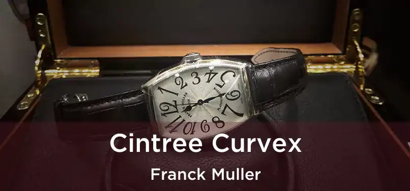 Cintree Curvex Franck Muller